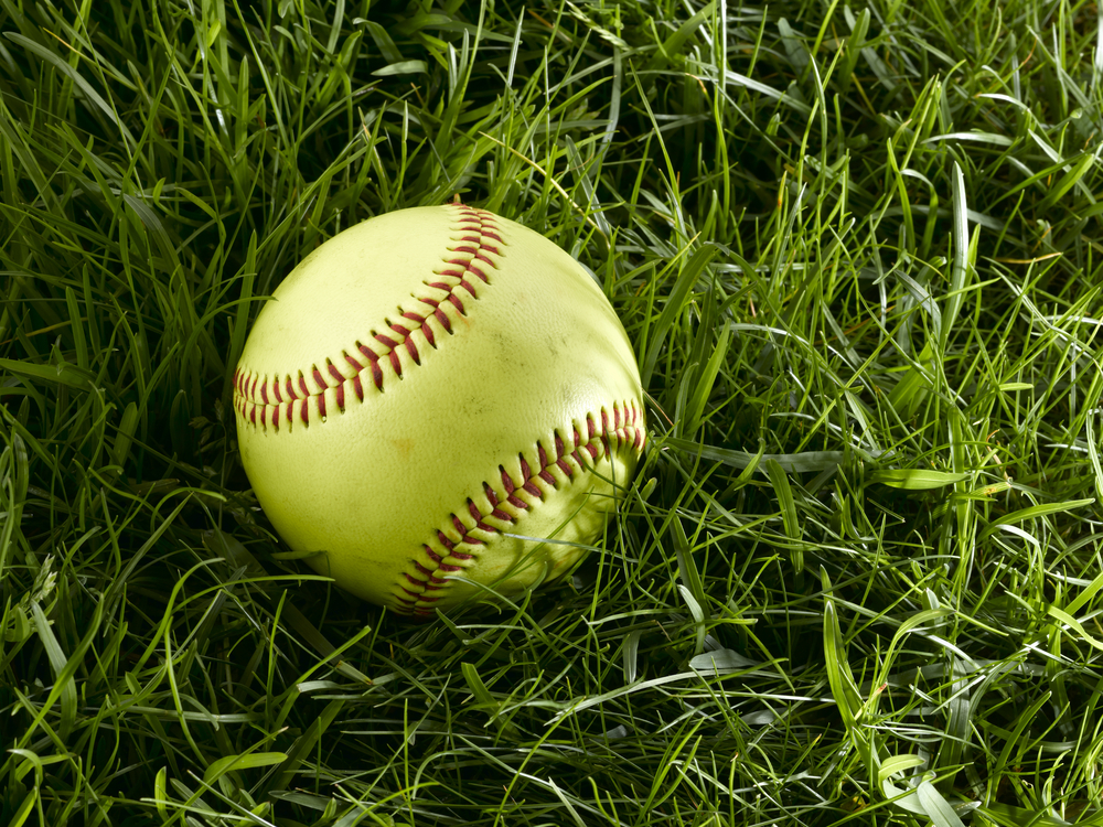 Dog and Cat laying on artificial grass - Orion Turf and Landscape
